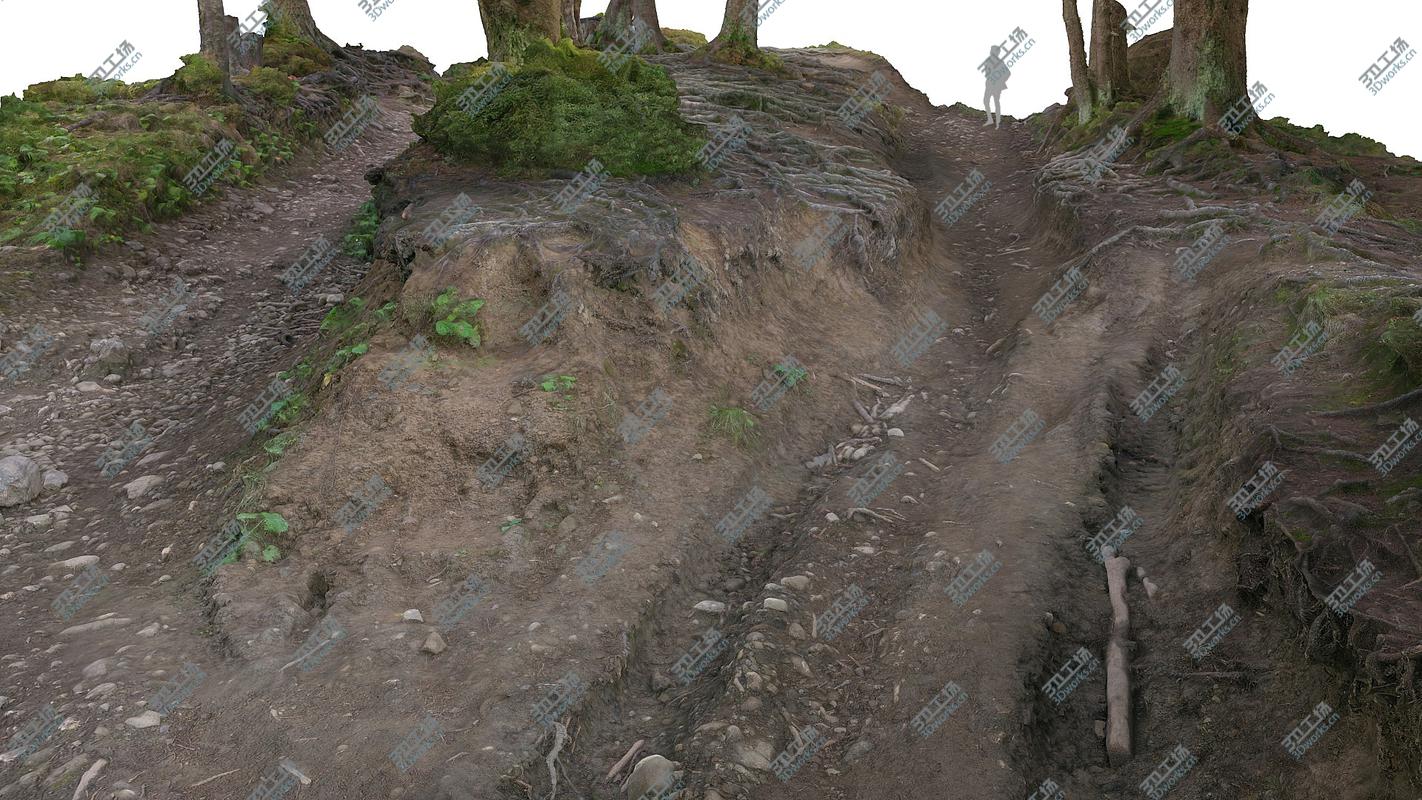 images/goods_img/202104091/Forest  Ultra HD 24K/5.jpg